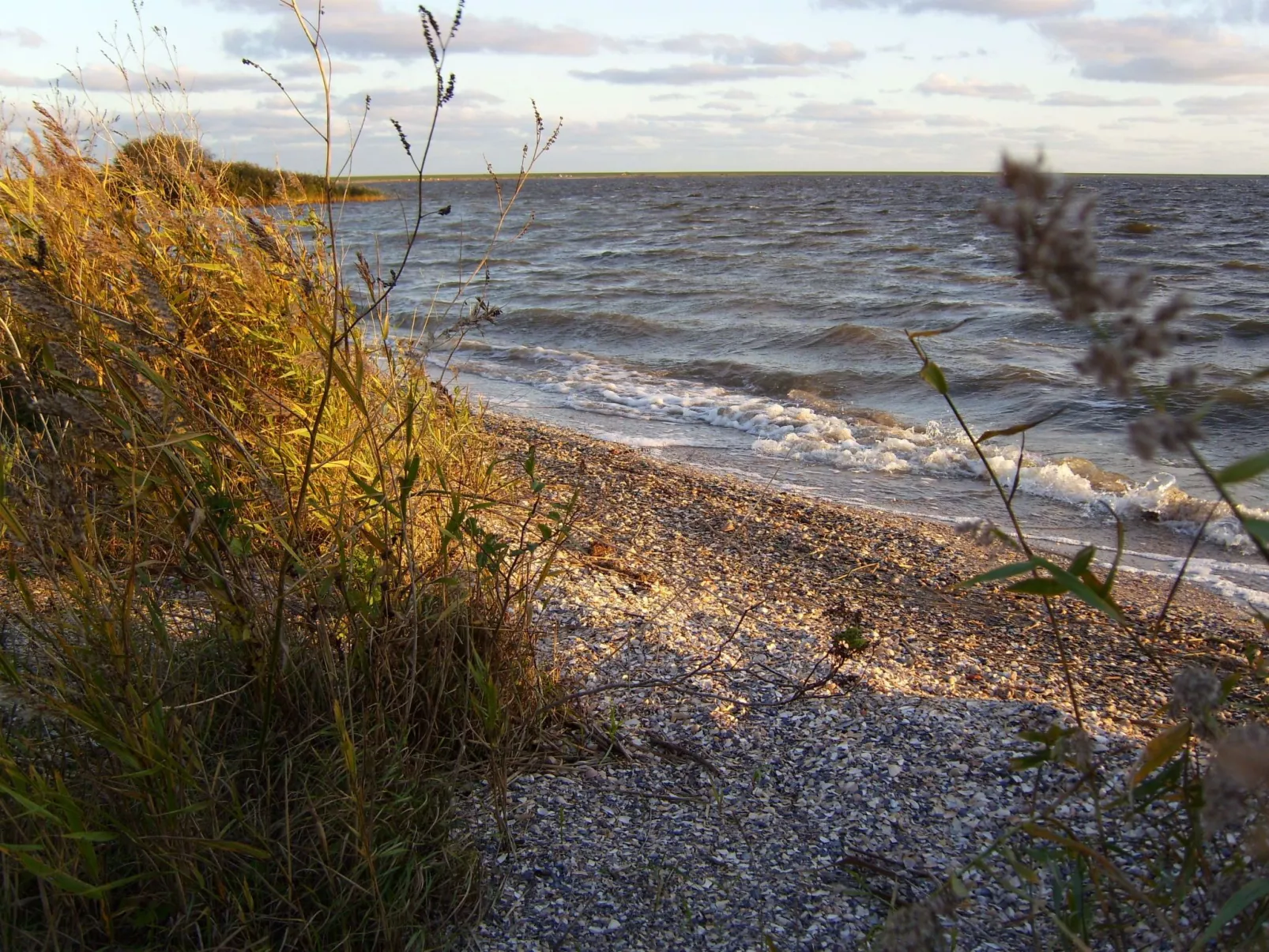 Friesje-Image-tags.info