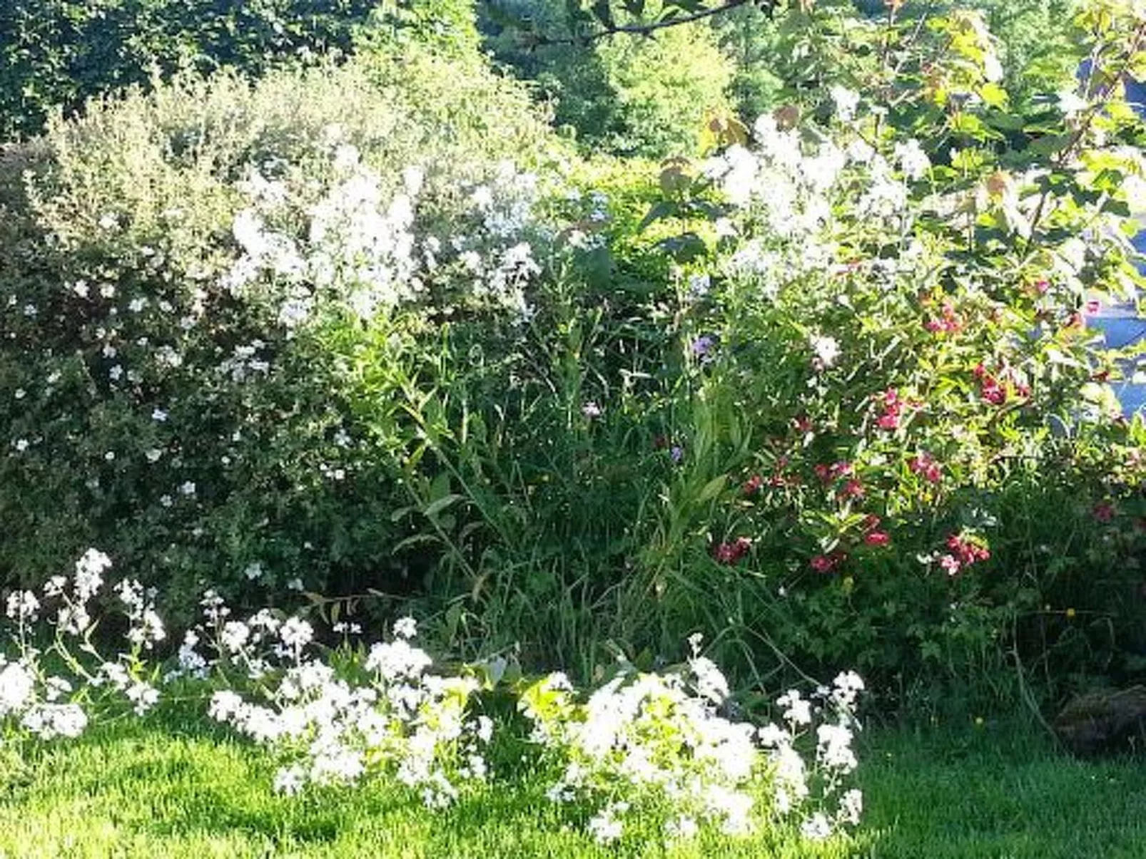 Cottage "James Tymon" mit Terrasse und Garten-Buiten