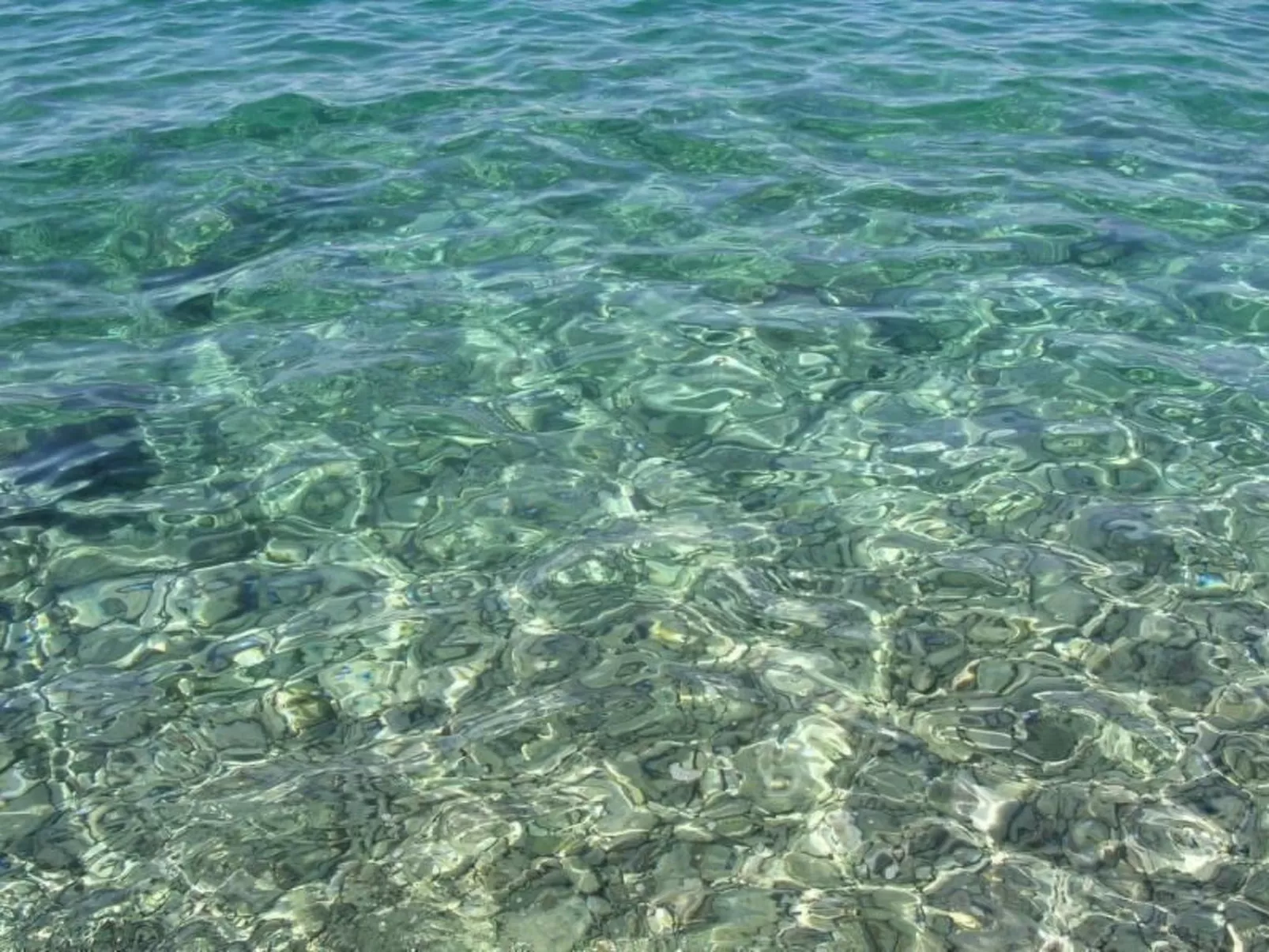 Wohnung mit Grill, Terrasse und Garten-Buiten