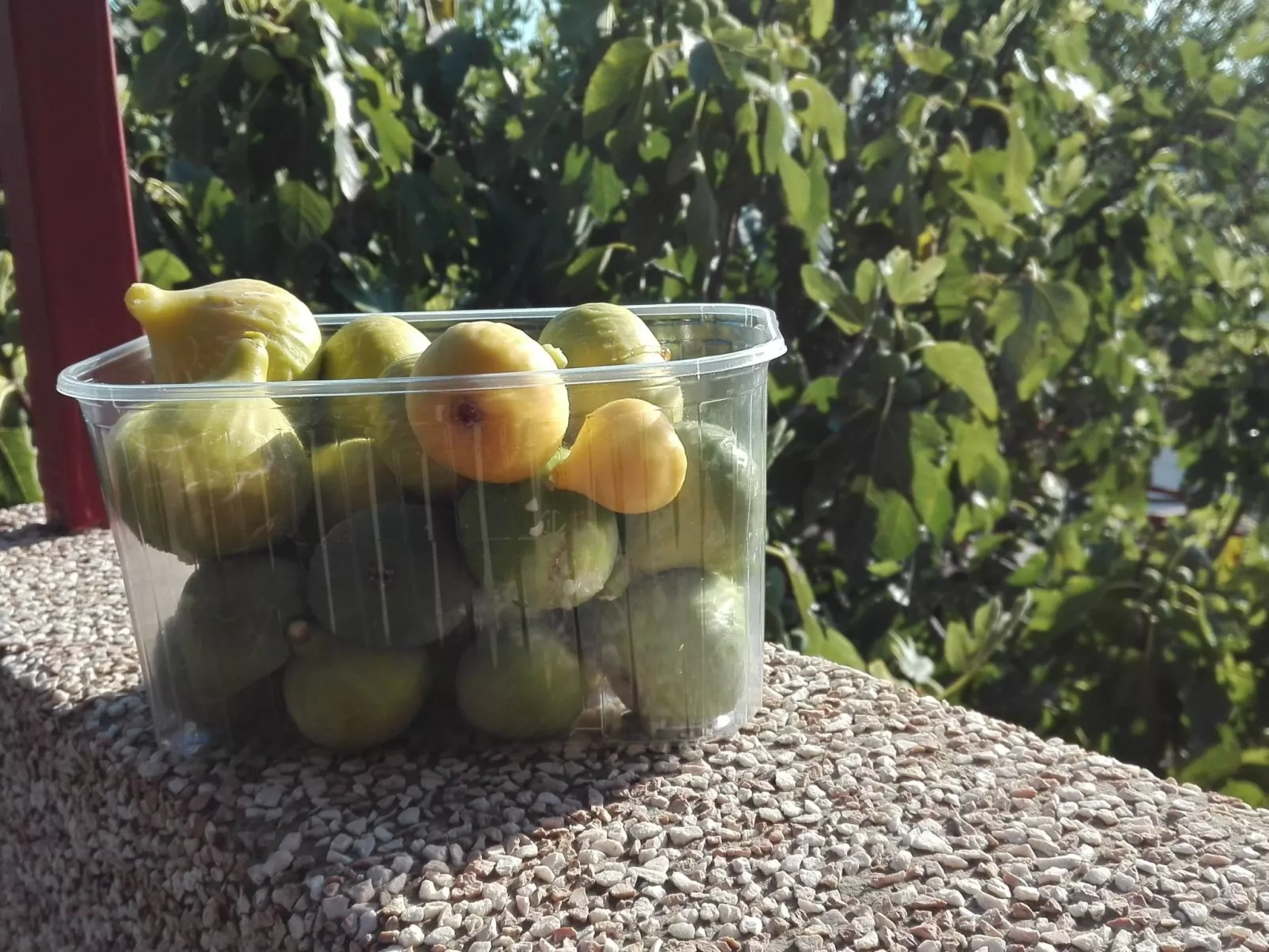 Wohnung mit Balkon und Meerblick-Binnen