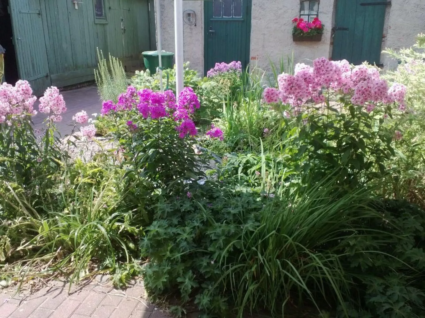 Am Apothekerberg-Buiten