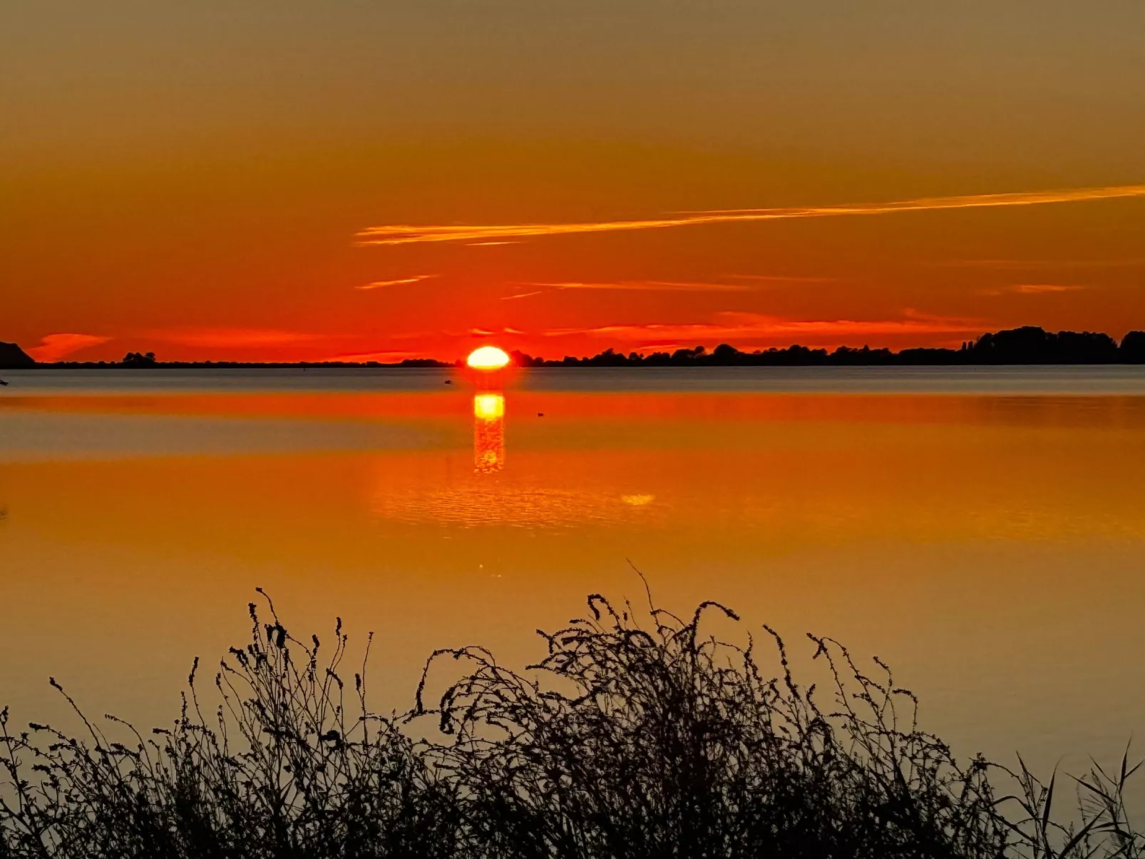 Reethaus Vera am Meer mit Sauna und Kamin-Buiten
