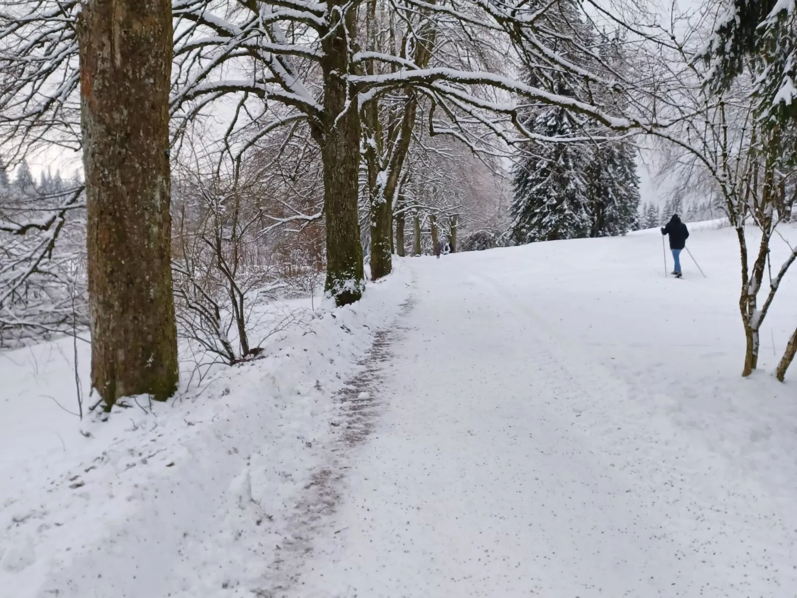 Burgi EG Hahnenklee-Buiten