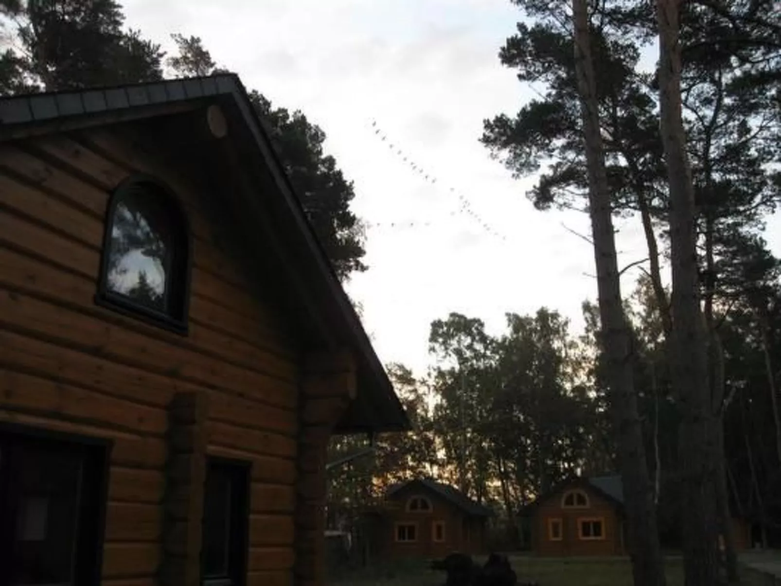 Amsel und Drossel-Buiten