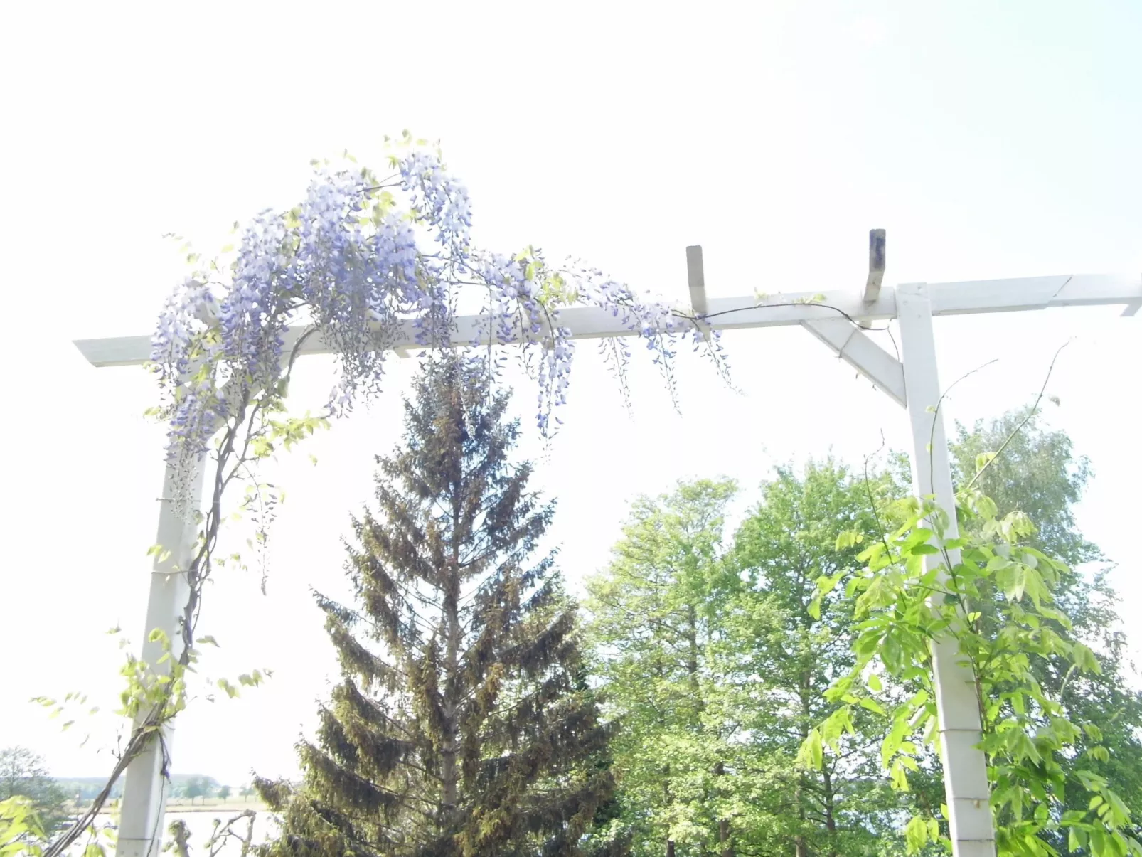 Am malerischen Nepperminer See-Buiten