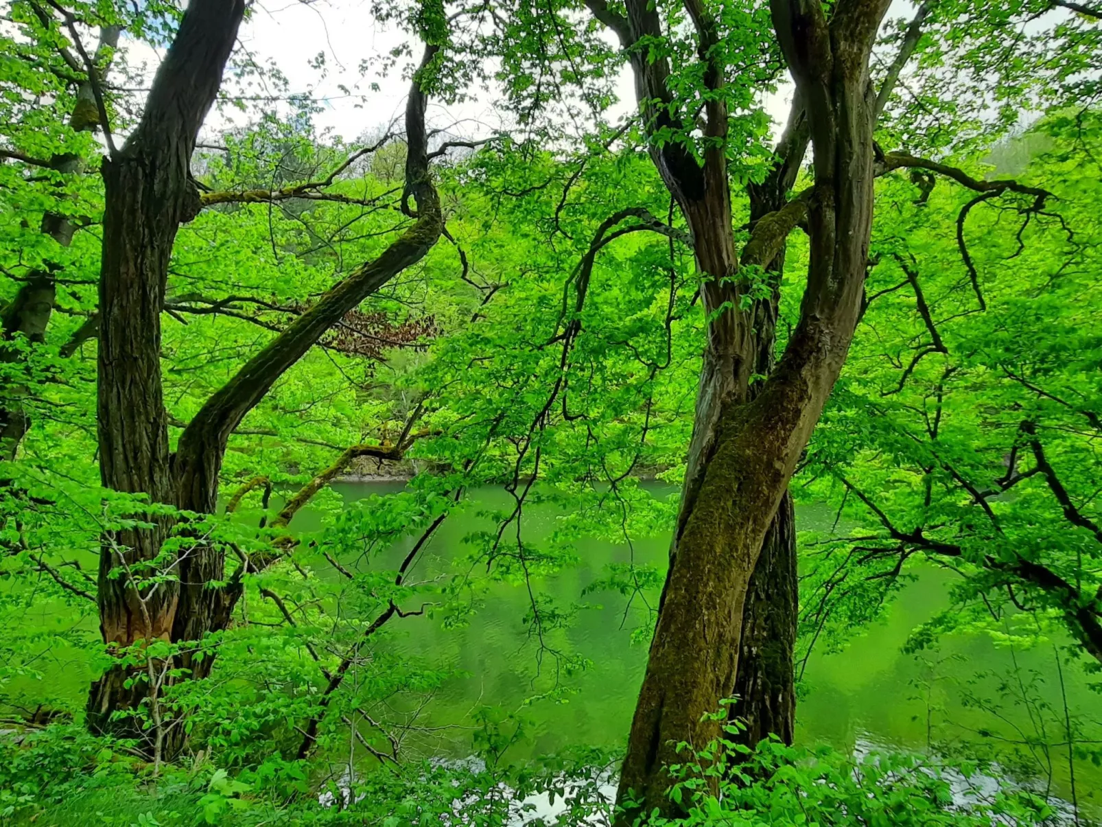Mit Liebe ausgestattetes Haus im Naturpark-Buiten