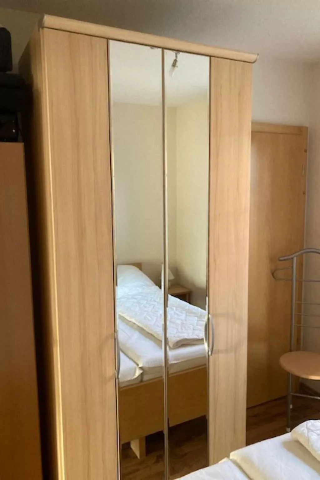 Seerobbe in Norden-Image-tags.info