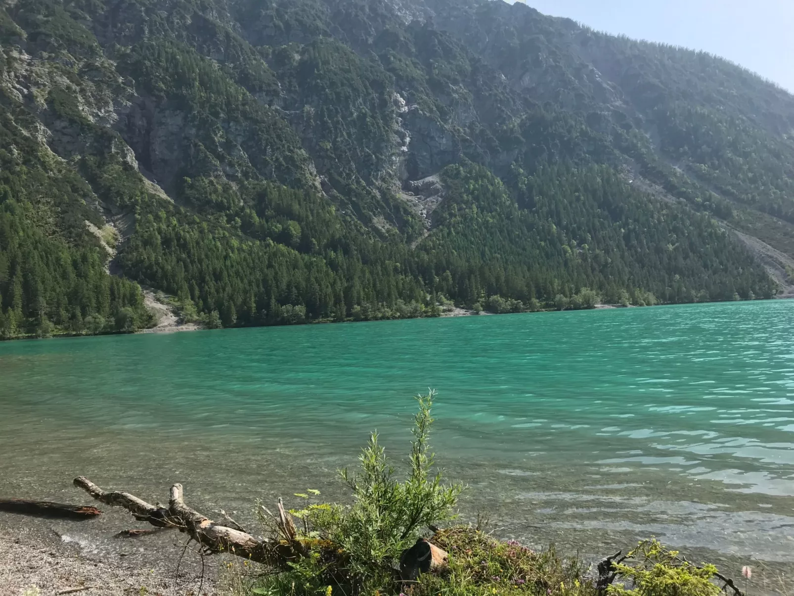 Pony-Ziegen-Hasen-Ranch in Bichlbach-Buiten