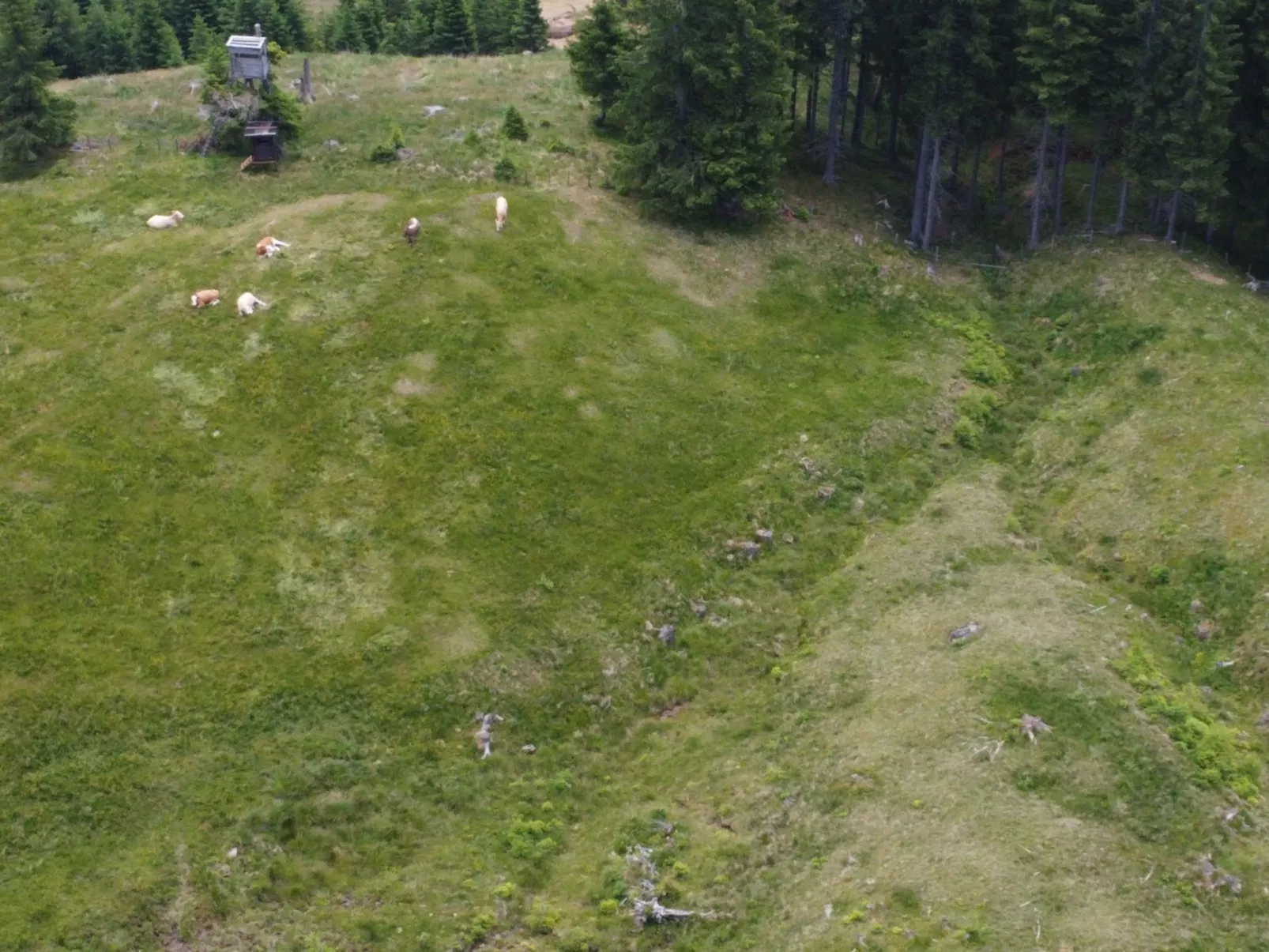 Alpentraum in Klippitztörl-Binnen