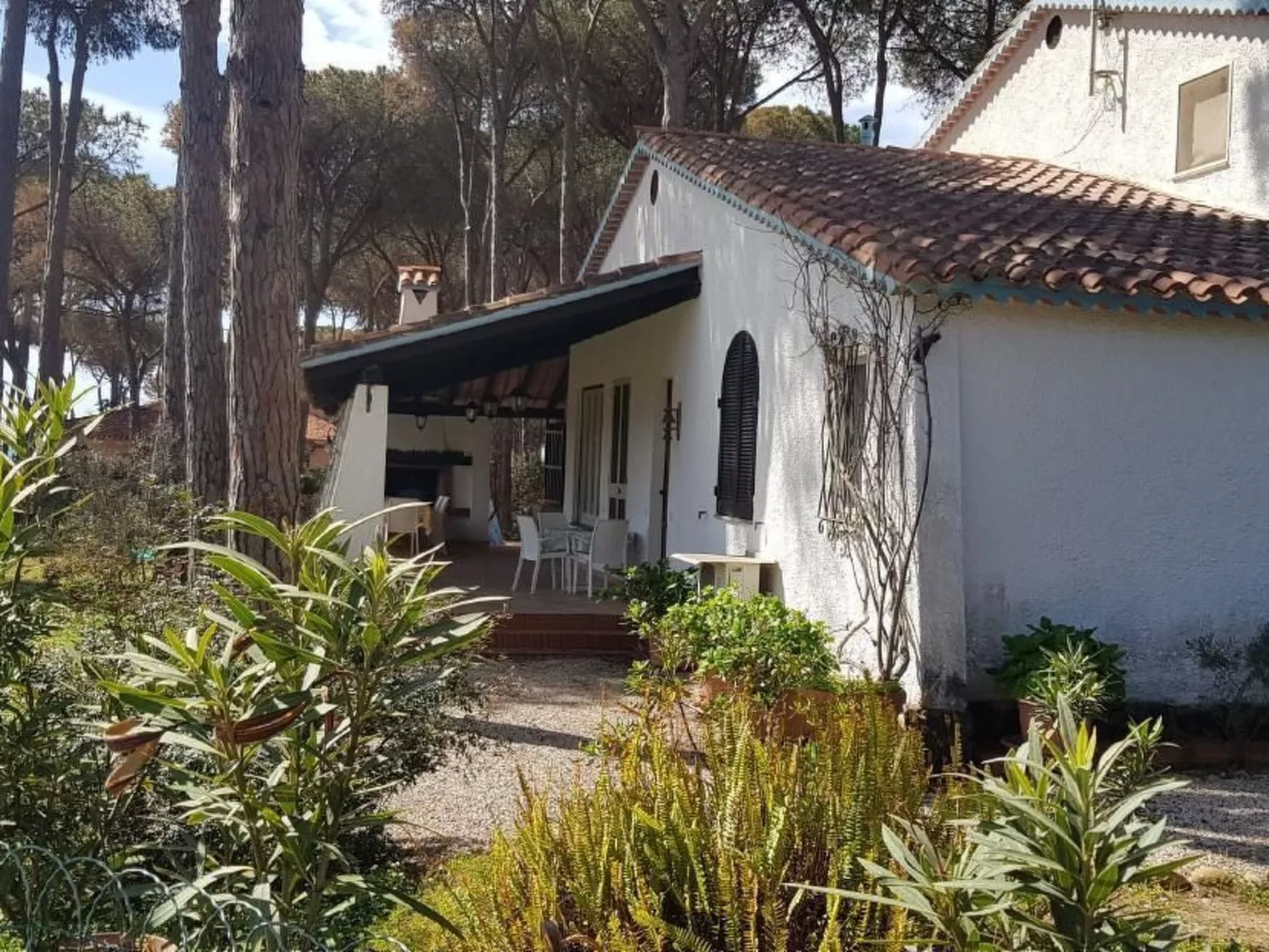 Mare e Pineta-Binnen