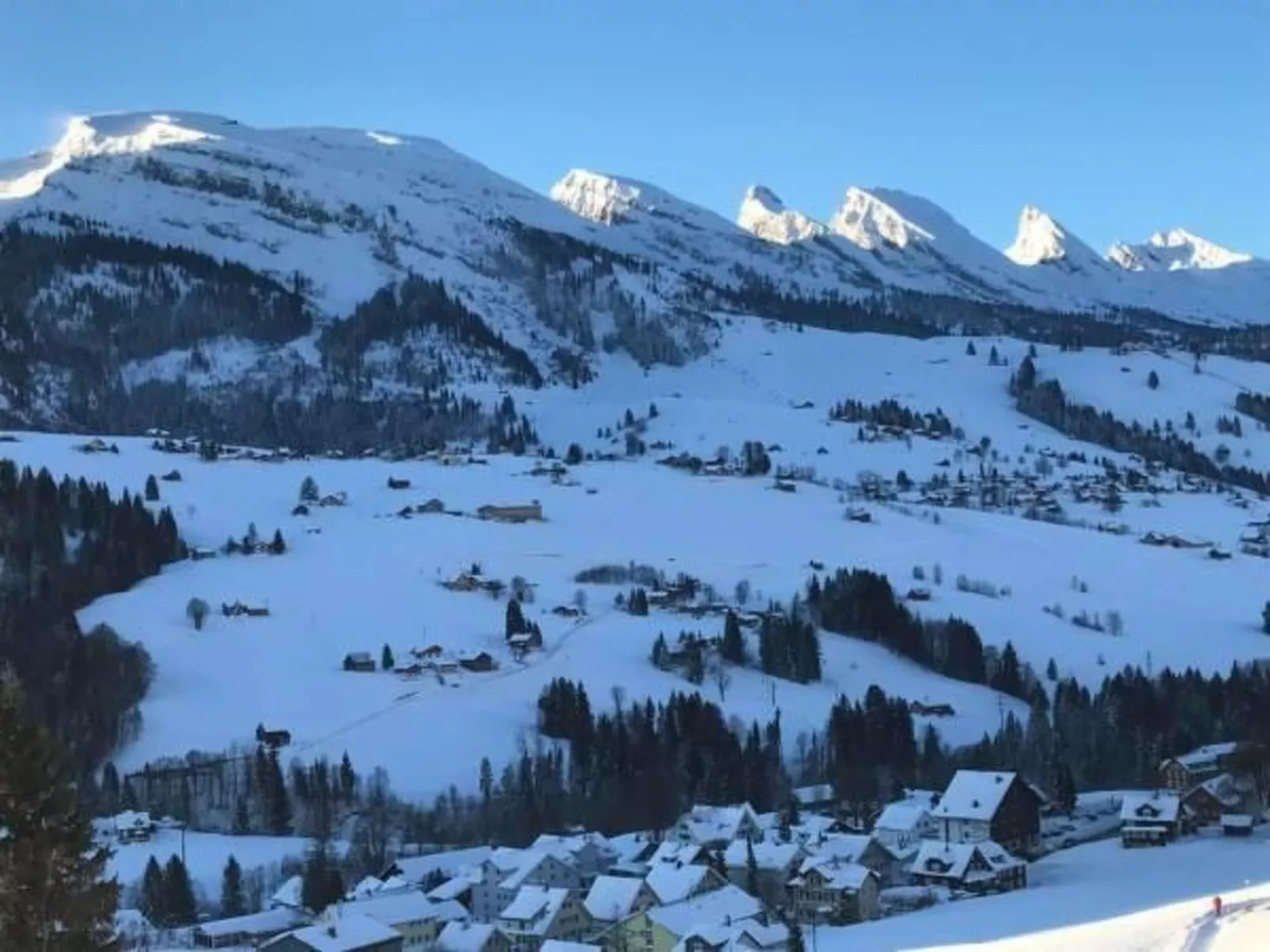 Toggi-Image-tags.info