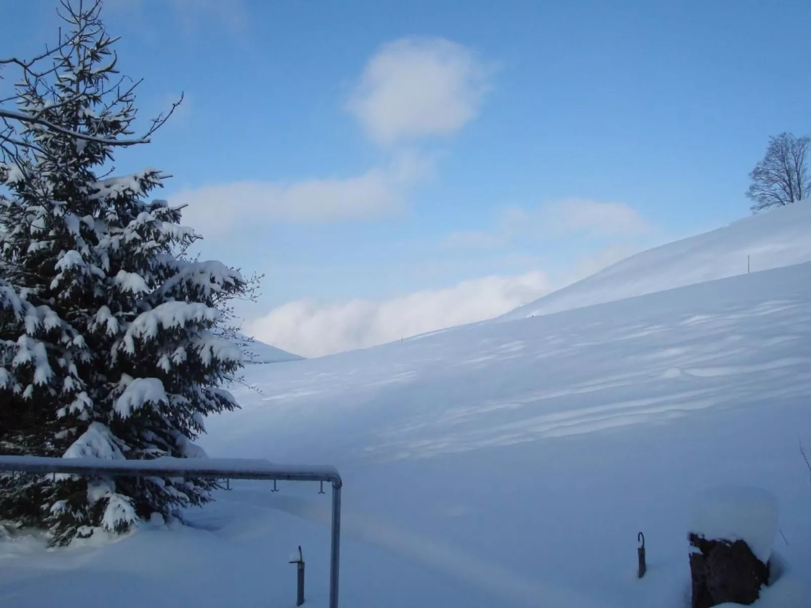 Alpidyll-Image-tags.info