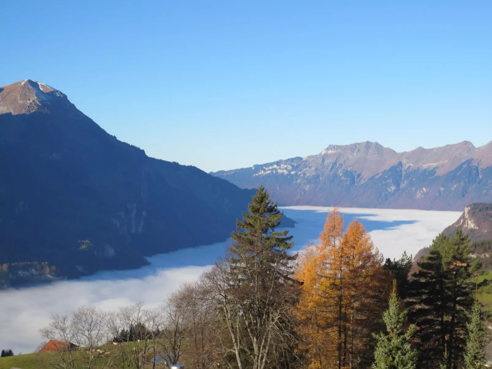 Anneliese Schaad Studio-Buiten