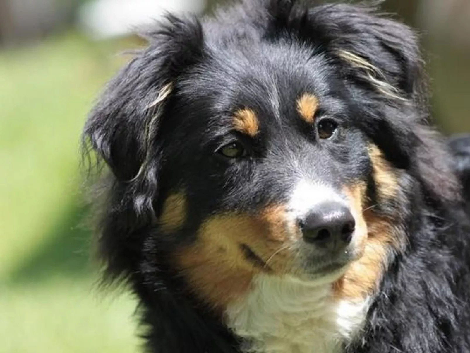 Rosentürmli - Buiten