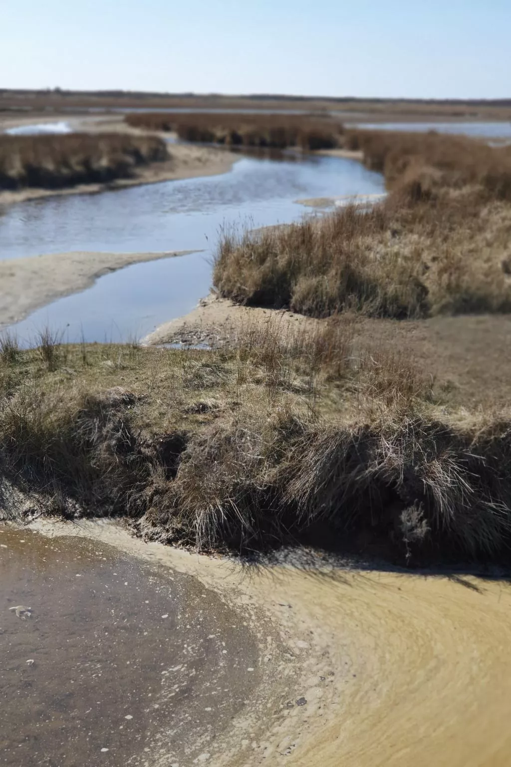 Apartment mit Terrasse am Südstrand-Buiten
