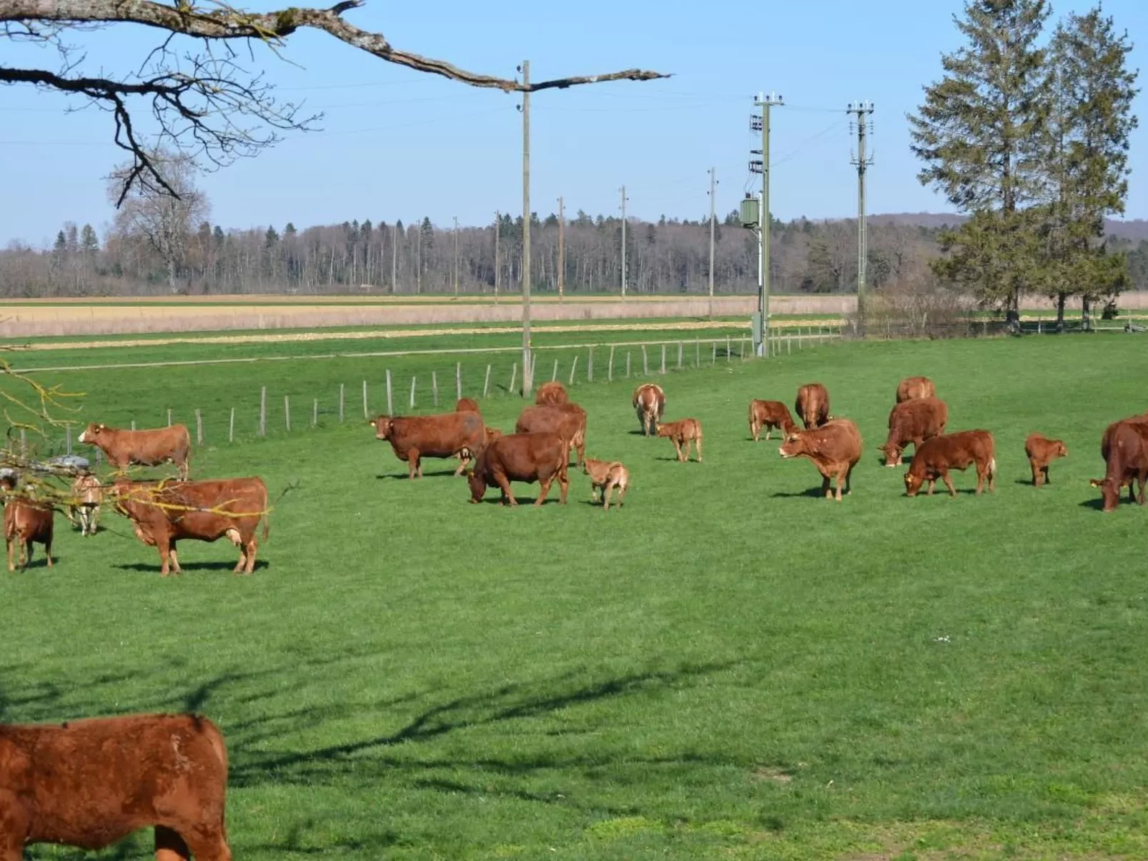 Wohnung "Bellevue"-Buiten