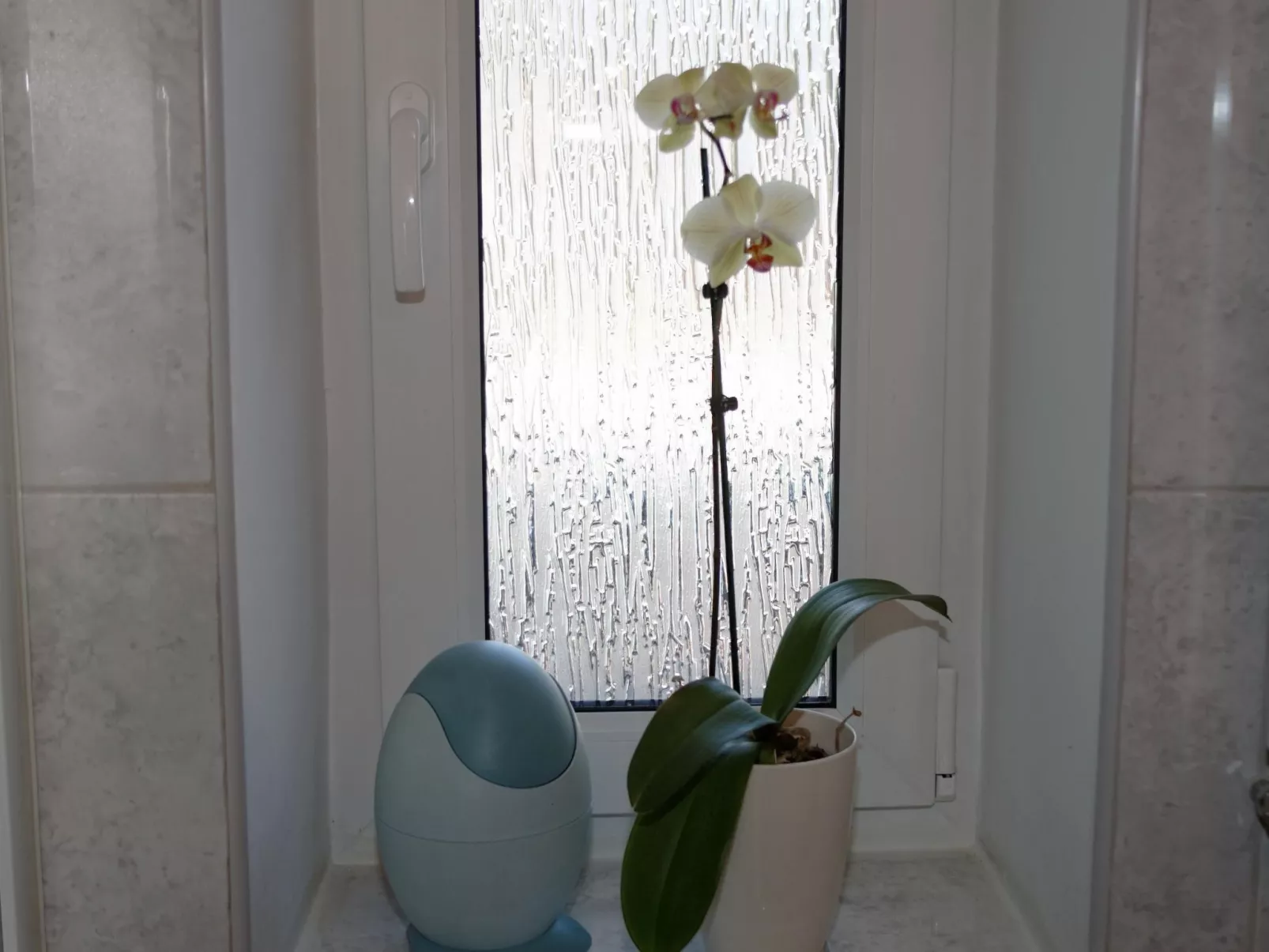 In ruhiger Lage am Waldrand-Binnen