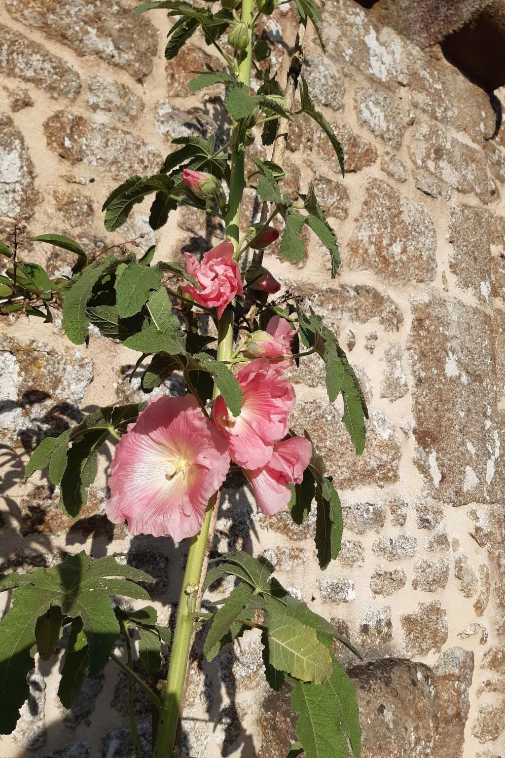 Finca "Motje" mit Aussicht-Buiten