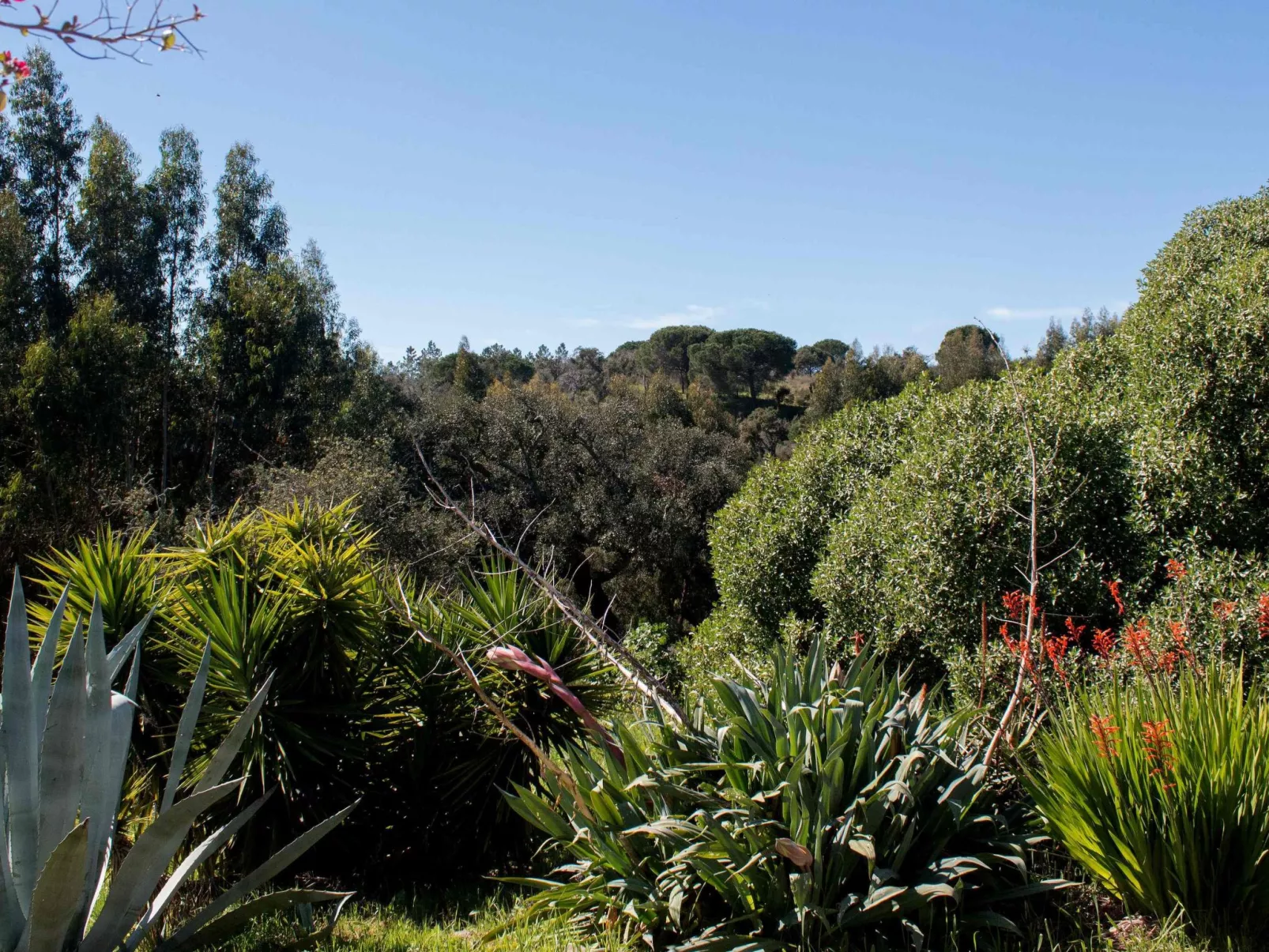 Monte Horizonte Casa Borboleta Öko und Natur-Buiten