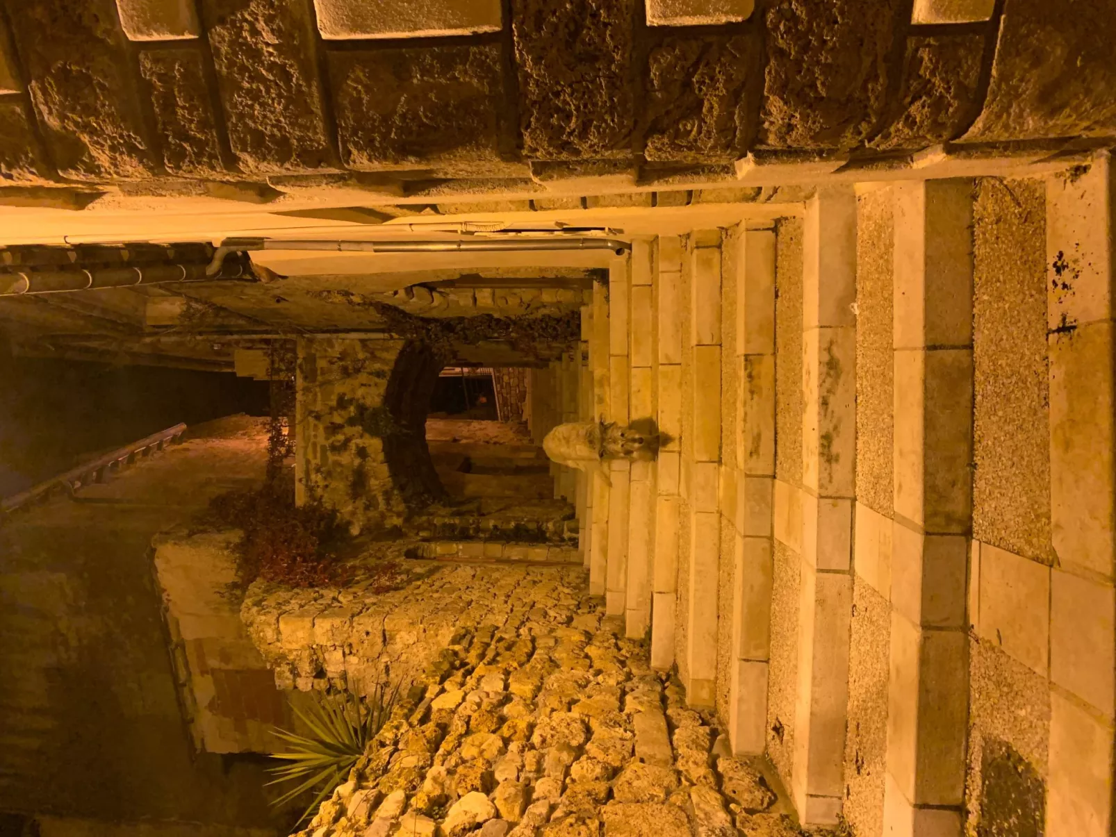 Petit Chalet-Image-tags.info