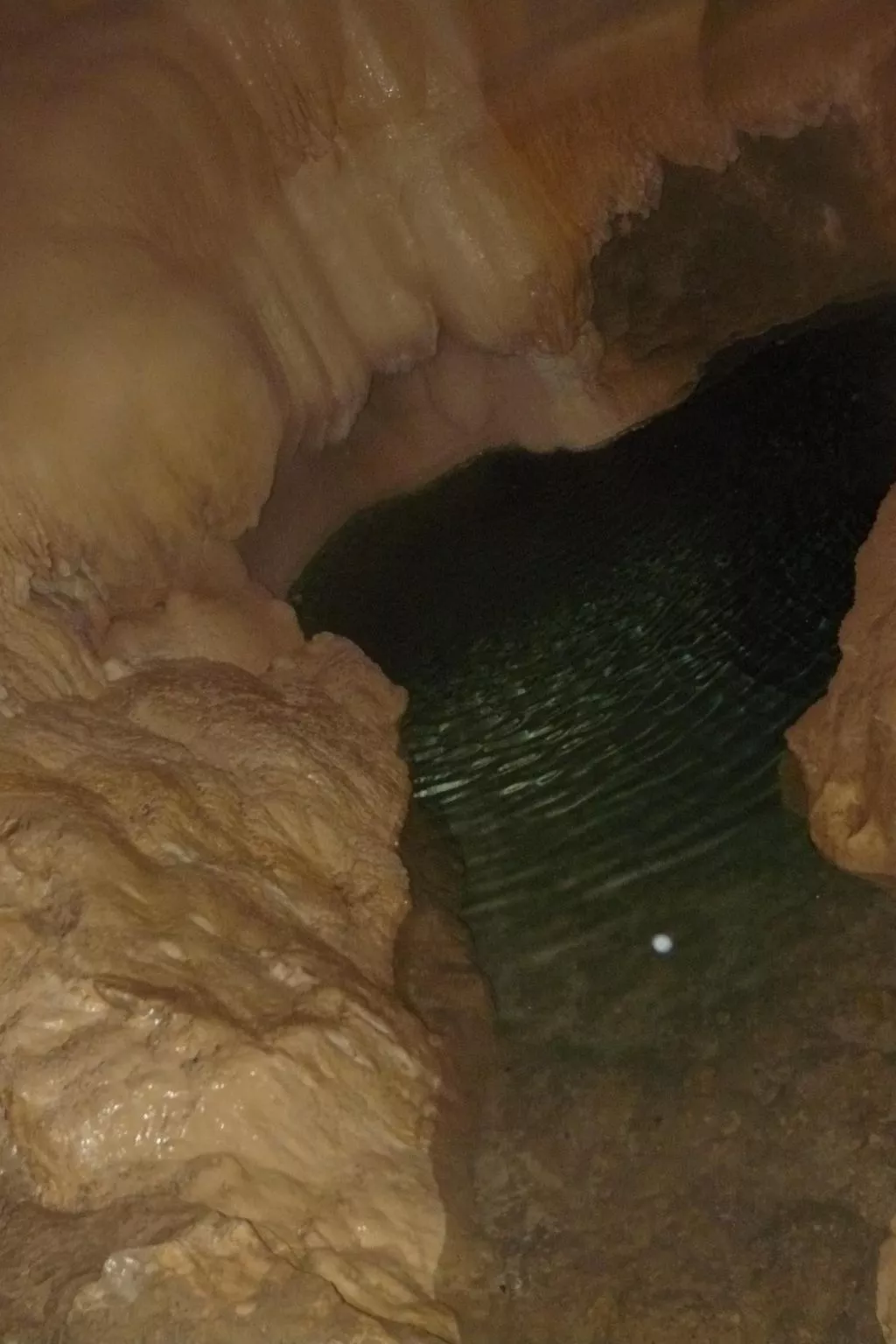 "Au Crêt du Bois" (Auf dem Wald)-Image-tags.info