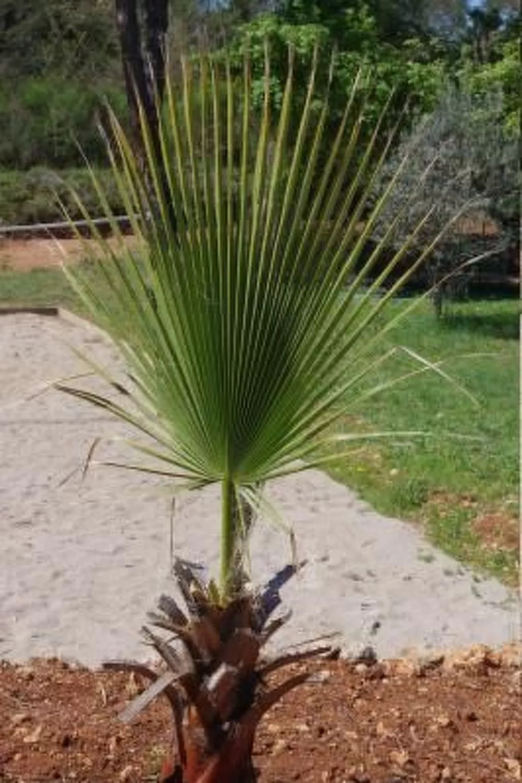 "La Cigale" mit Schwimmbad-Image-tags.info