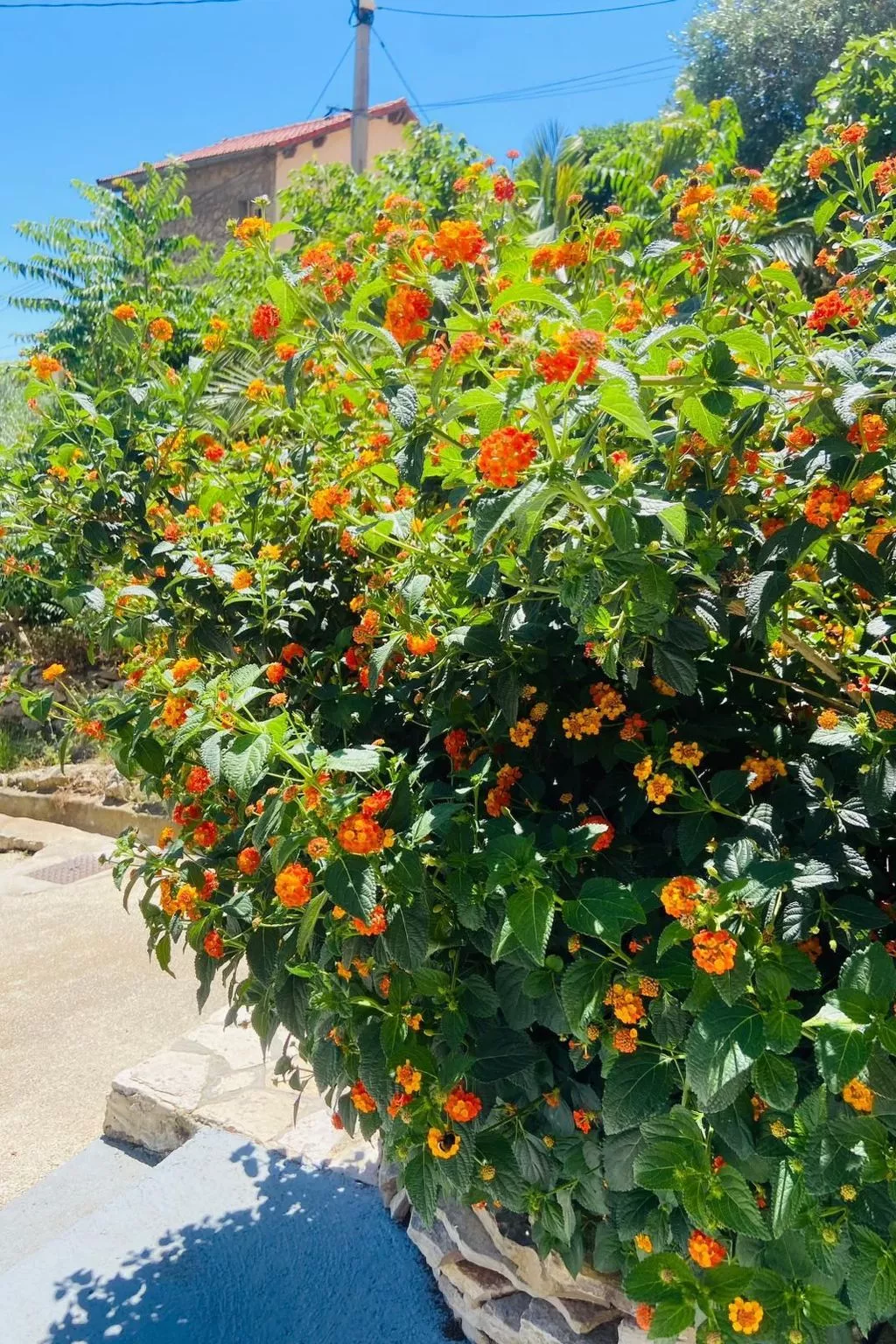 Appartement Fanny in der wunderschönen Bucht von Niolon-Image-tags.info