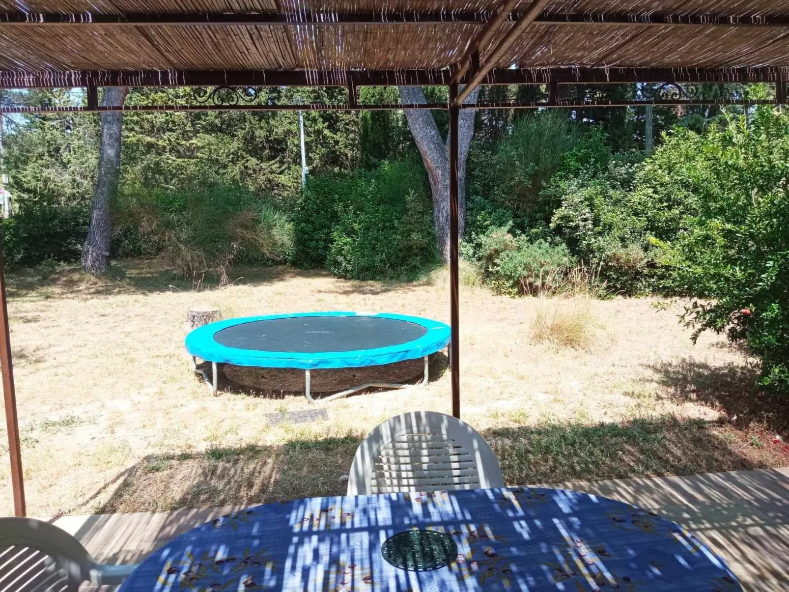 La petite maison sous les pinins-innenpool-Buiten