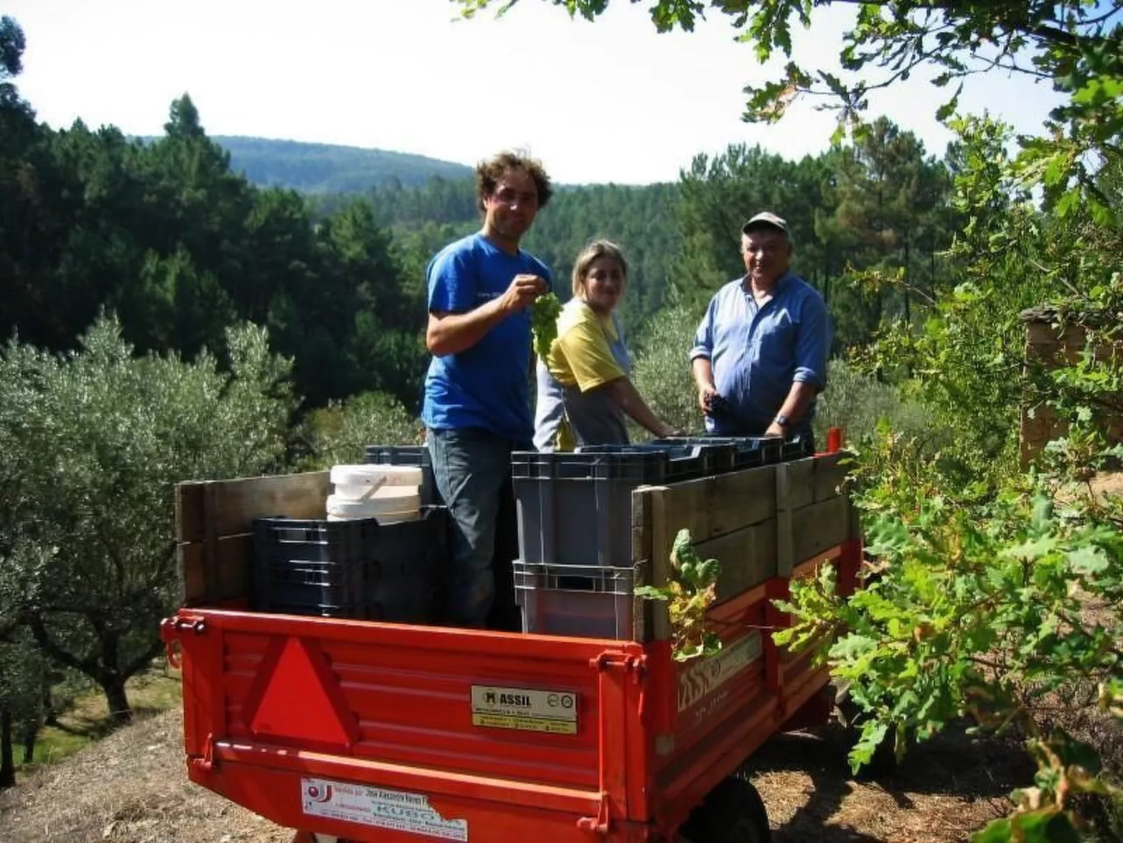 Mit Sonnenterrasse und großem Garten-Image-tags.info