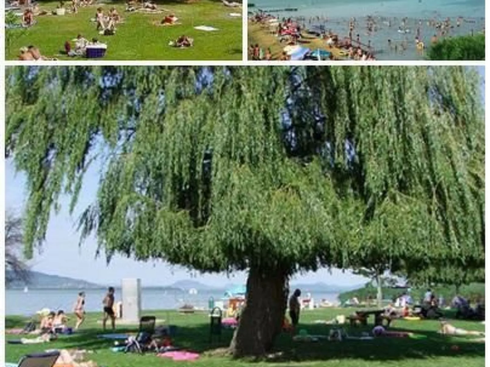 Appartement mit Terrasse - Image-tags.info