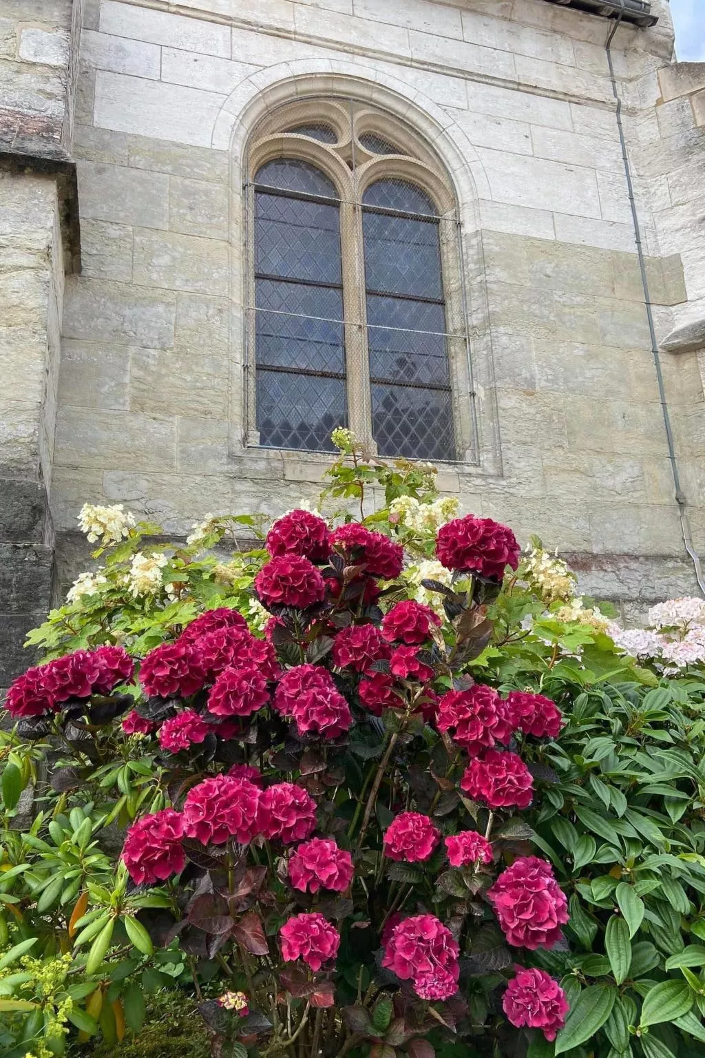 Charmante normannische Ferienwohnung les chataigniers 3 Zimmer-Buiten