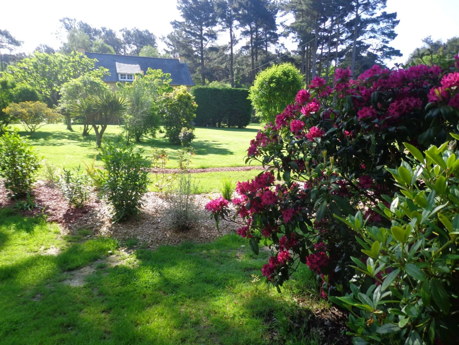 Chalet "gite du bois d'amour" (Hütte des Liebesh-Buiten
