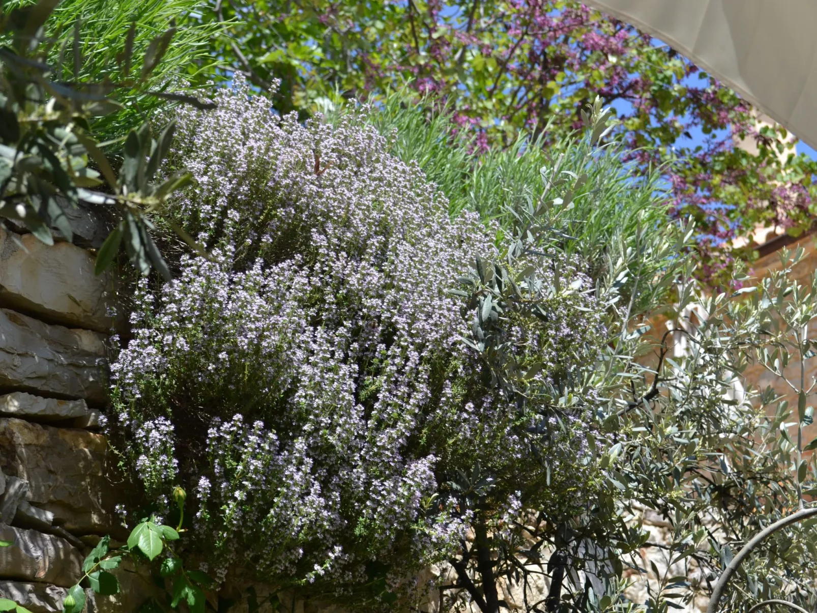 "Stone Retreat"-Buiten