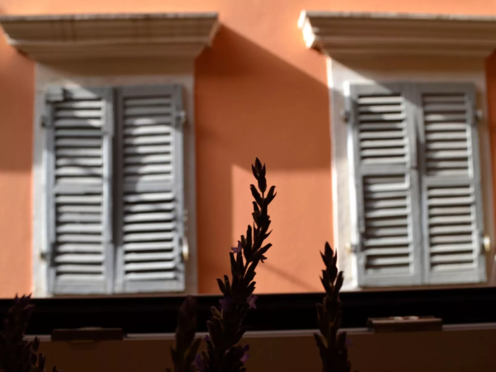 Palazzino Leone - Korfu Altstadt Deluxe Wohnung-Buiten