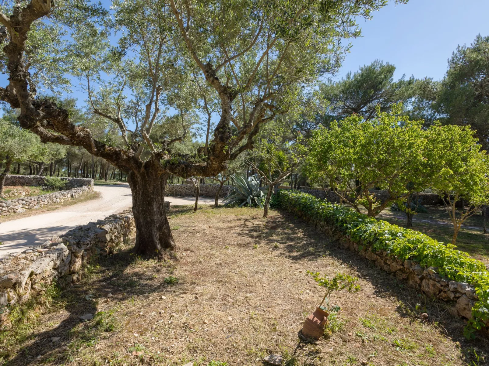 Villa Ariadne mit privatem Pool-Buiten