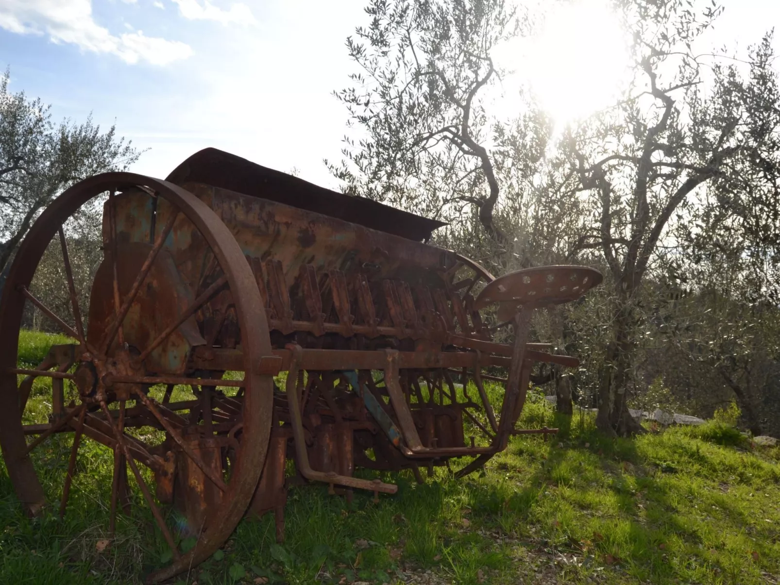 Anwesen "MonnaLisa" mit Schwimmbad-Image-tags.info