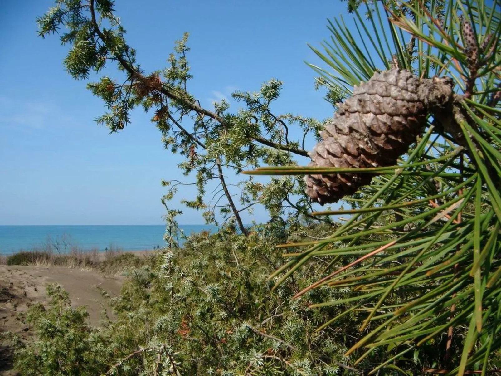 'Azalea' mit Terrasse-Buiten