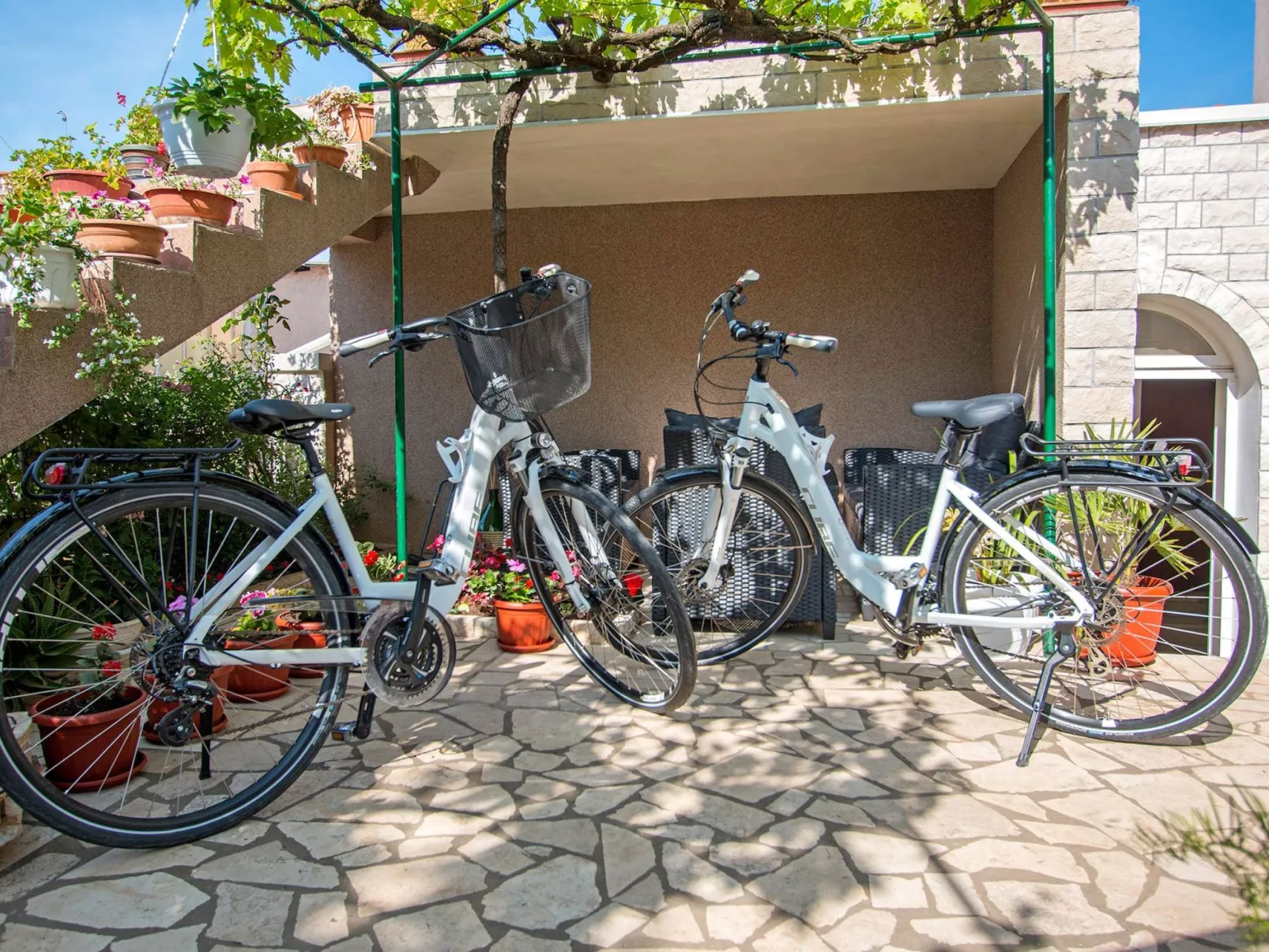 Apartman Oliva ****-Image-tags.info