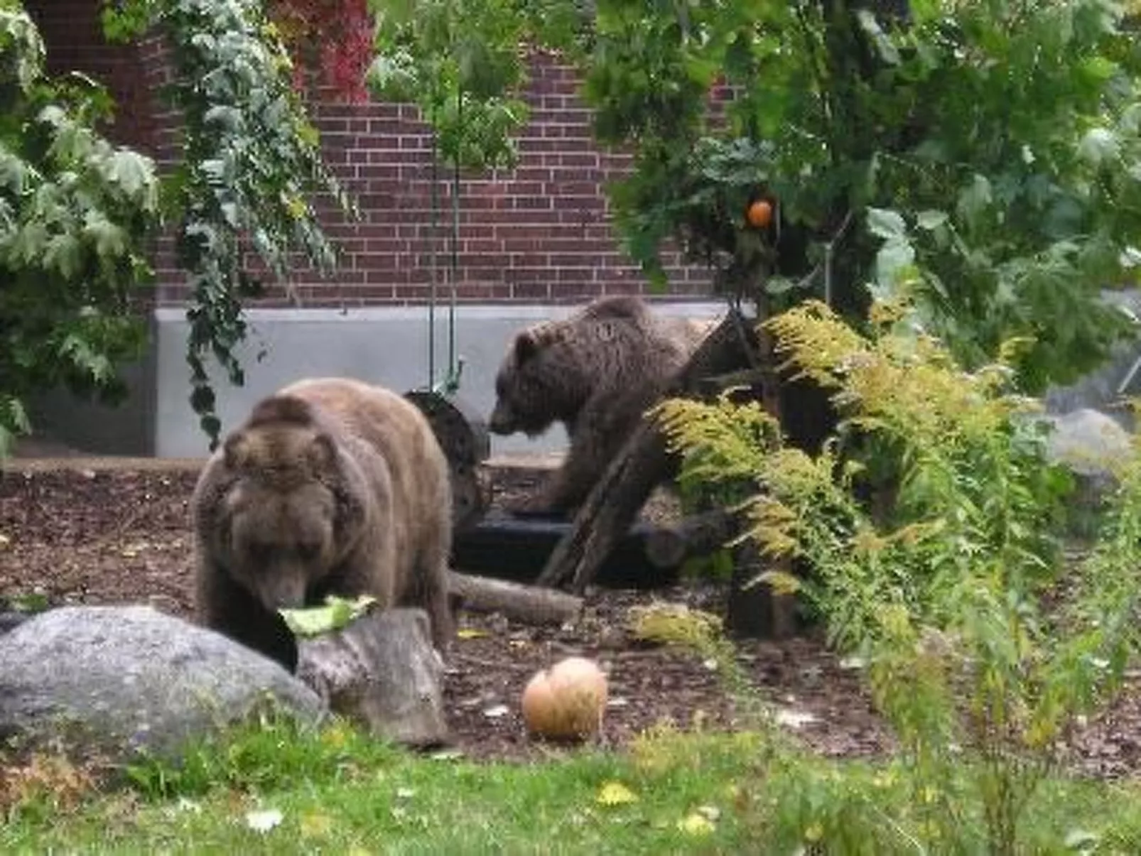Moderne Erdgeschoss-Wohnung mit Terrasse-Binnen