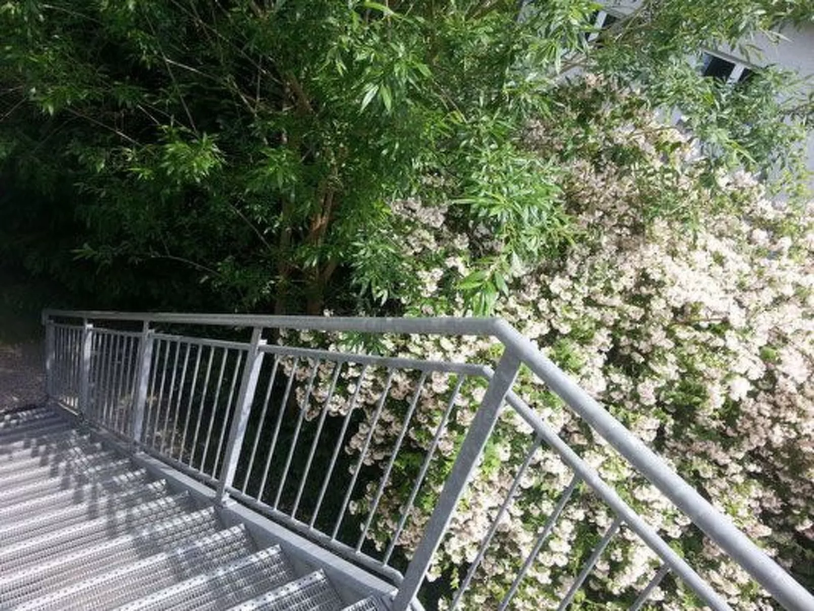 Moderne Studiowohnung im Obergeschoss mit Balkon-Image-tags.info