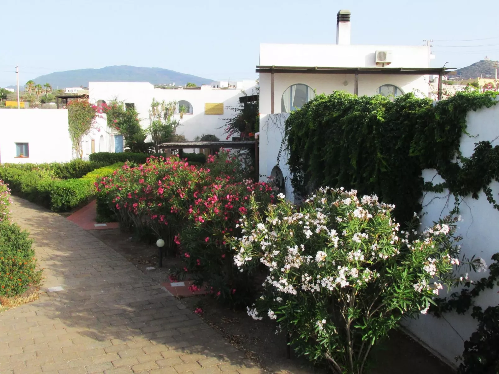 Romantische Wohnung in Pantelleria-Image-tags.info