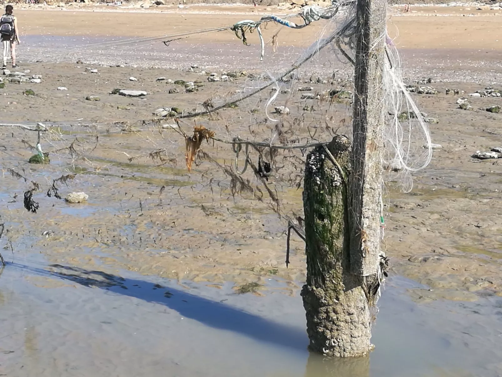 Unterkunft 2 escapade Normande-Buiten