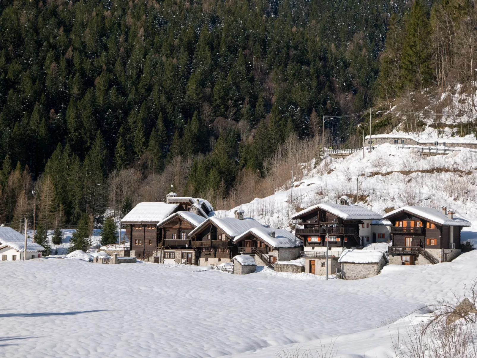 Chalet Borgo Walser Testa 5 - Buiten