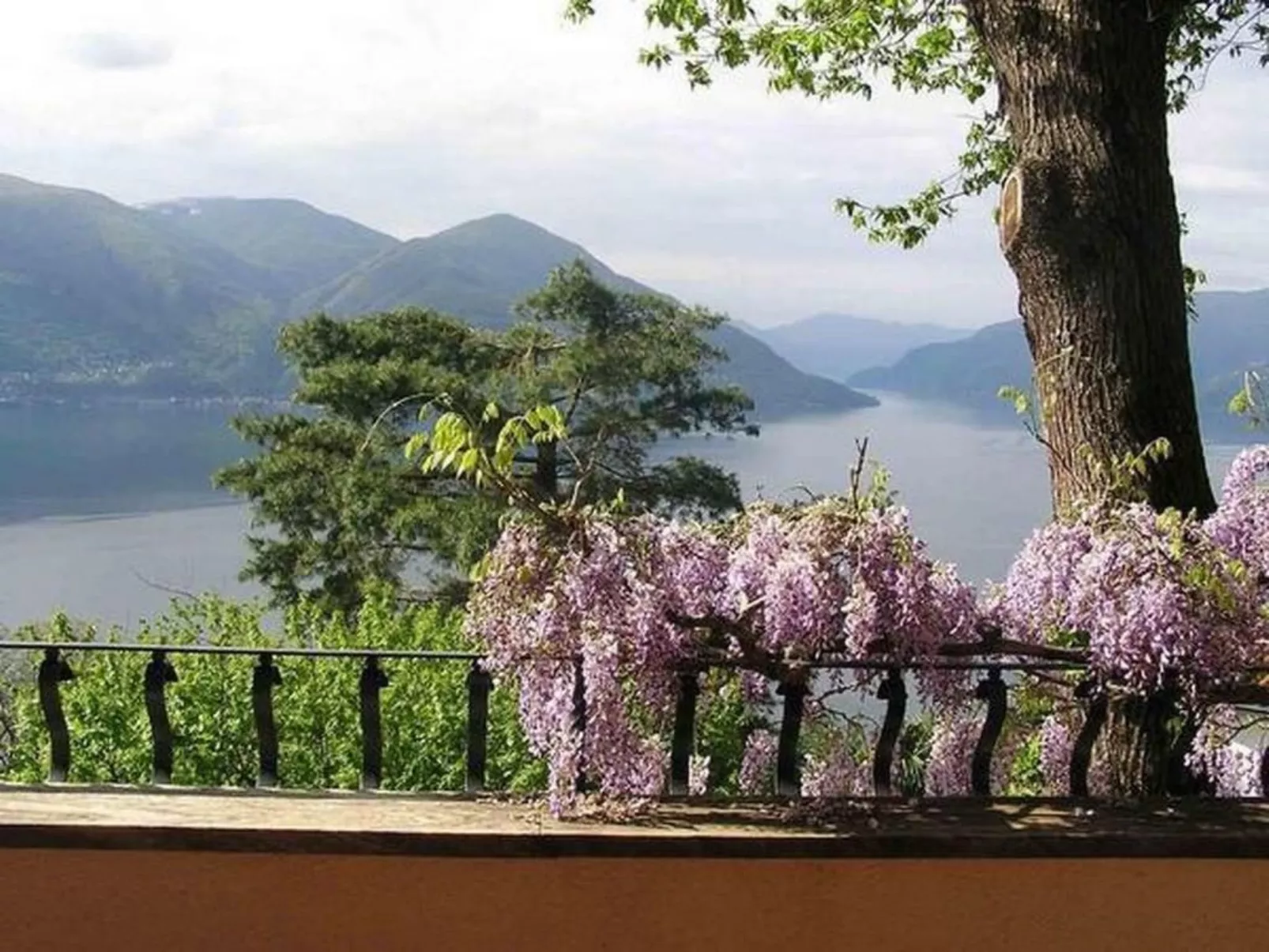 Villa Cresta Bianca-Image-tags.info