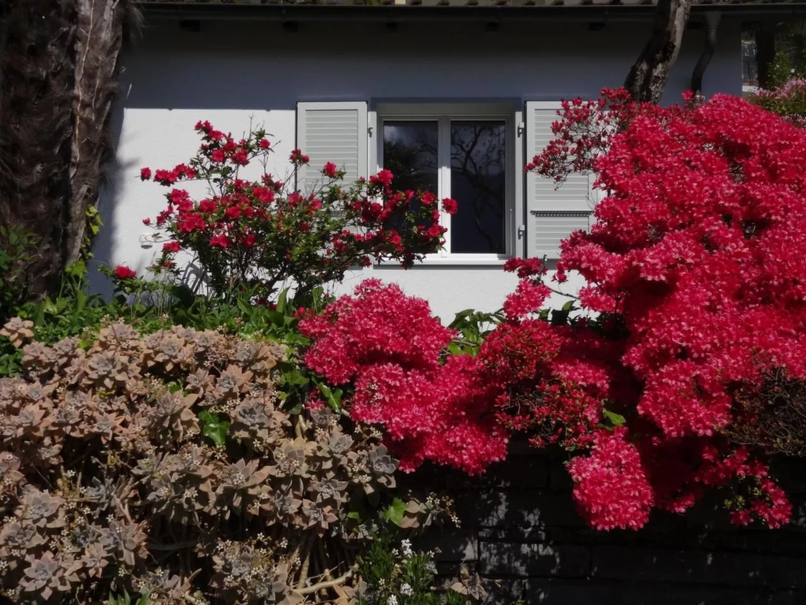 Ökohaus A, Schwimmbad, Garten und Ruhe-Buiten