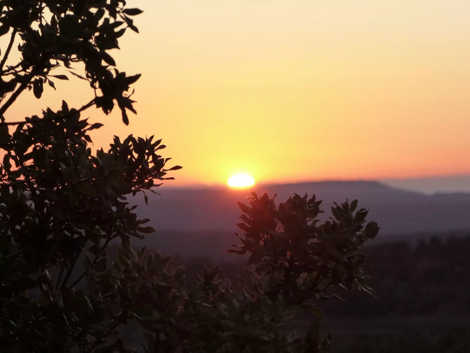 Les amandiers-Buiten