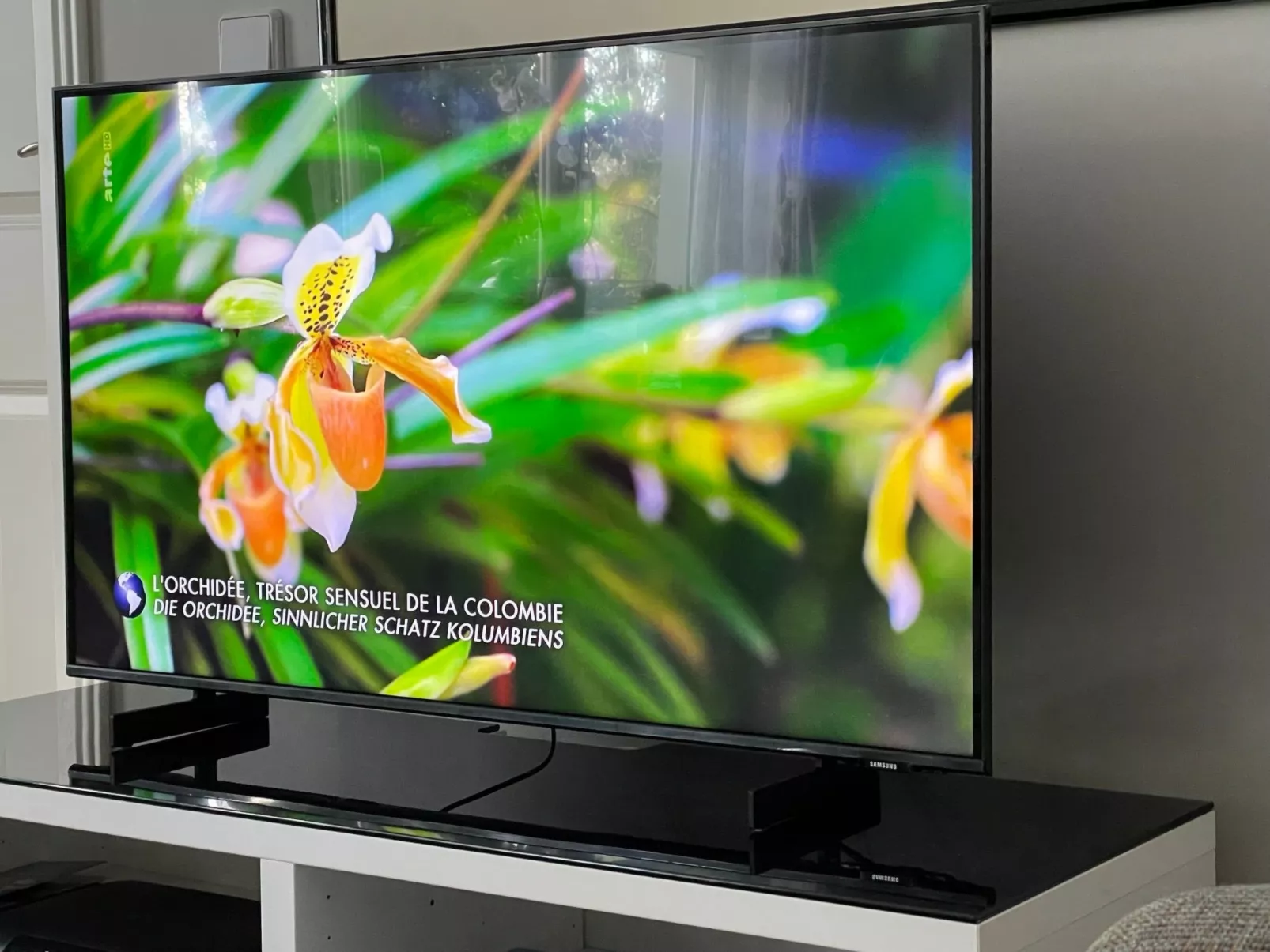 Modernes Appartement in Wannsee-Image-tags.info