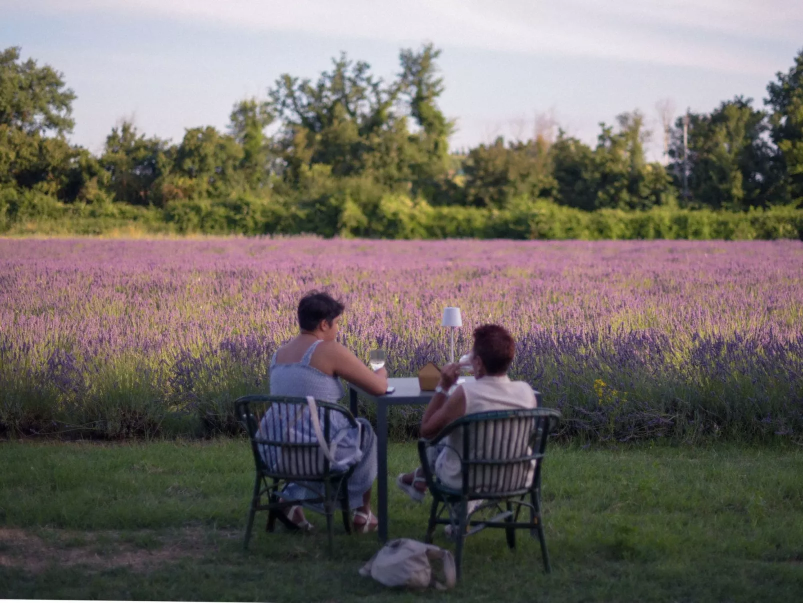 Flach 'Molinello Cipresso-Image-tags.info