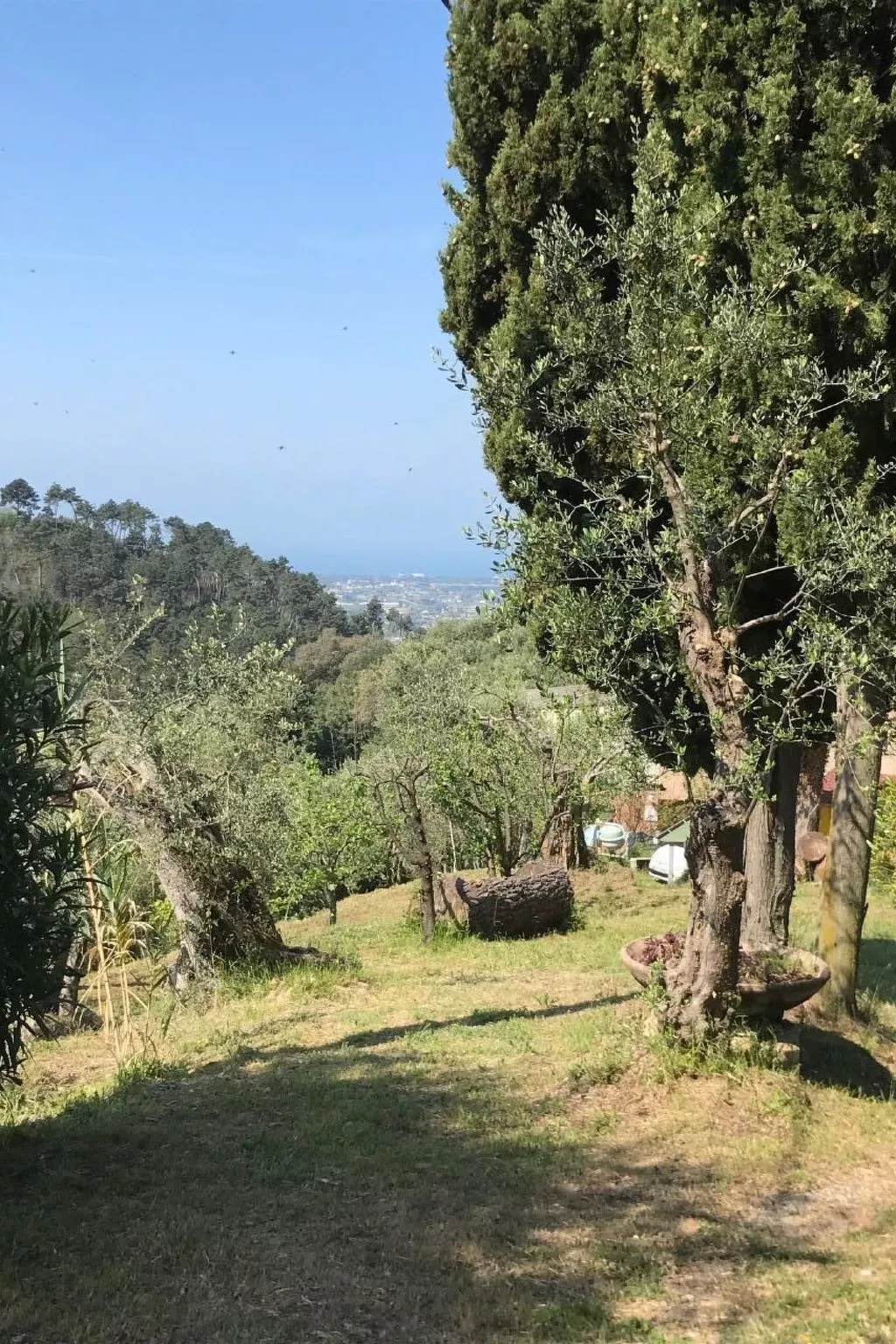 Artist's hill-Buiten