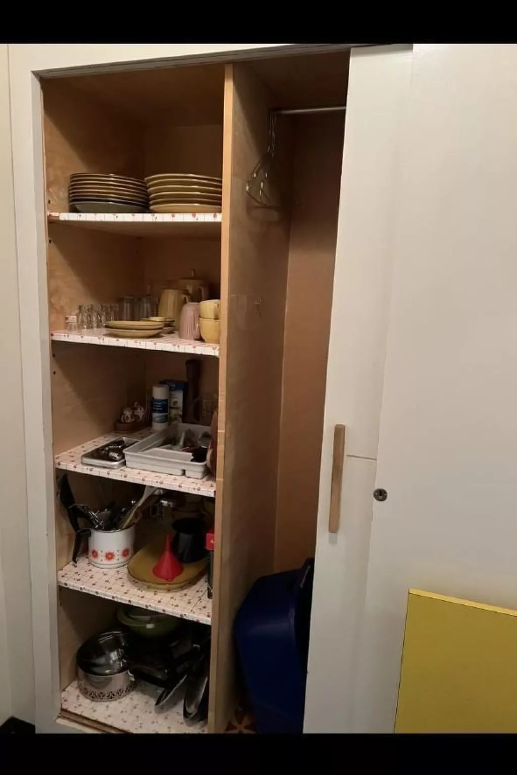 Carina 1-Image-tags.info